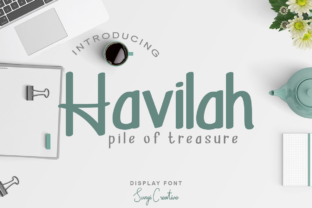 Havilah Font: Your Partner for a Recognizable Business Brand