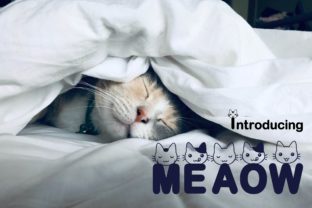 Introducing Meaow: A Display Font That Elevates Editorial Personality
