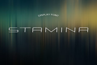 Stamina: A Typeface For Makers Who Value Elegance